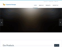 Tablet Screenshot of corporatekoncepts.com